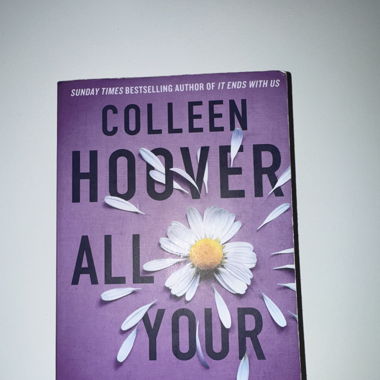 All your perfects - Colleen Hover