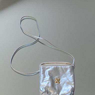 silver/ gold bag