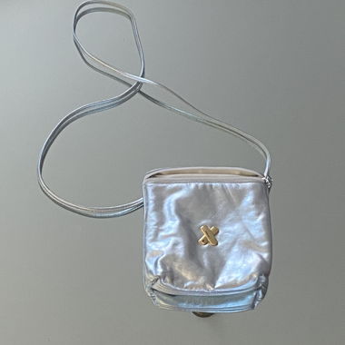 silver/ gold bag