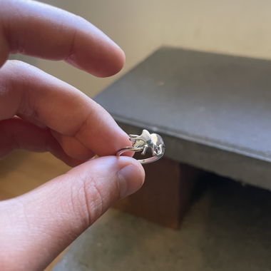 Anello Dino delicato (SPEDIZIONE GRATUITA)