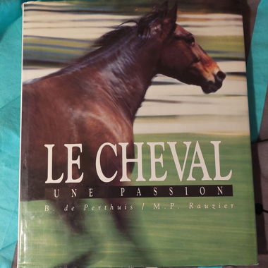 Il cavallo - una passione