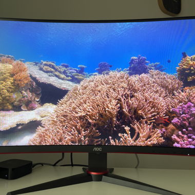 Monitor AOC