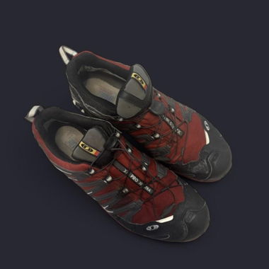 Salomon