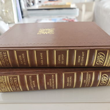 Livres reliés bruns