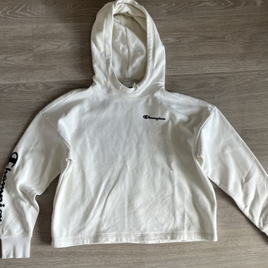 champion hoodie