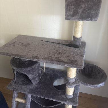 Maison pour chats