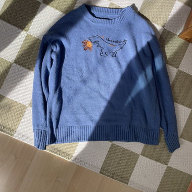 Blauer Pullover