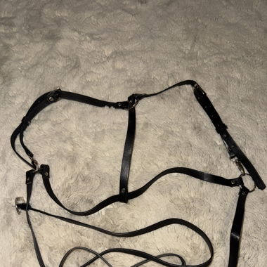 Ceinture harnais