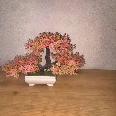 Bonsai decorativo artificiale