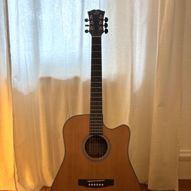 Akustische Gitarre - Dowina Rustica DCE