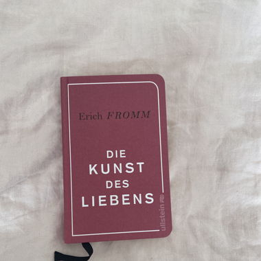 Die Kunst des Liebens