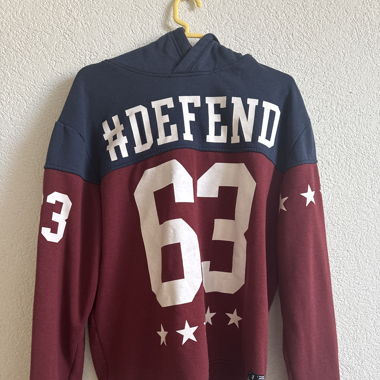 FSBN Hoodie Defend