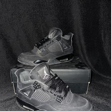 Air Jordan 4 (Black Cat)