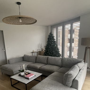Panoramic couch (7 seats)