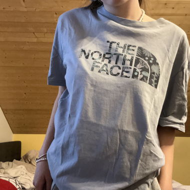 The north face shirt