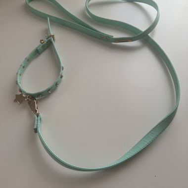 Set collier et laisse pour chien turquoise avec clous