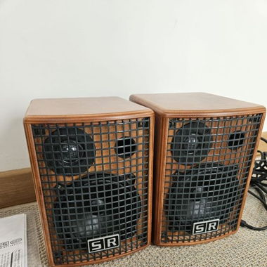 SR Technology Club 30