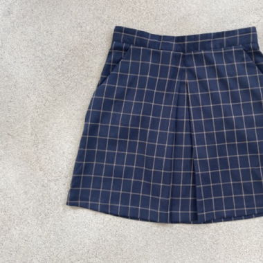 Mini Skirt