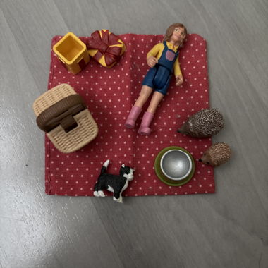 Schleich Spielset