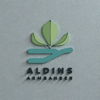 AldinsArmbanber