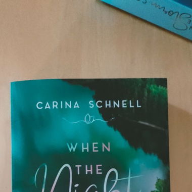 Buch When the night falls von Carina Schnell