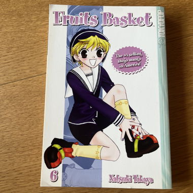 Fruits Basket Manga Band 6