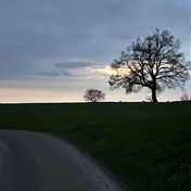 vollverhexxt