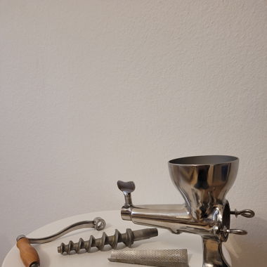 Extracteur de jus manuel en acier inoxydable 