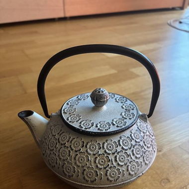 Japanische Teekanne aus Gusseisen