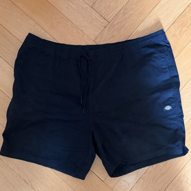 Shorts Dickies PELICAN RAPIDS