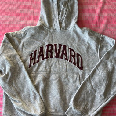 Harvard Hoodie Grey