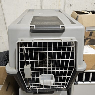 Cassa di trasporto per cani