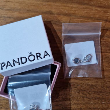 Pandora charm
