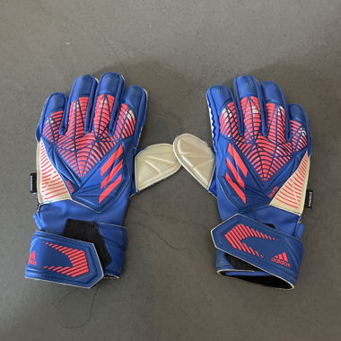 Adidas Goalkeeper Gloves