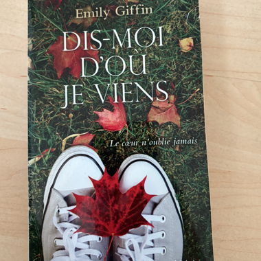 Libro - Dimmi da dove vengo (Emily Giffin)