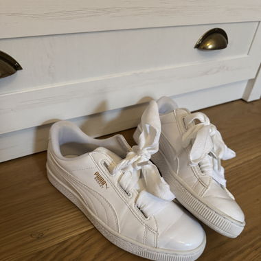 Puma 38