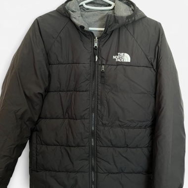 The North Face Transitional Jacket