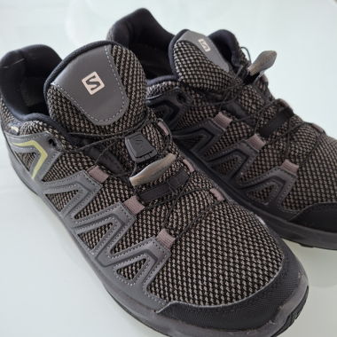 Salomon Gore-Tex hiking shoes