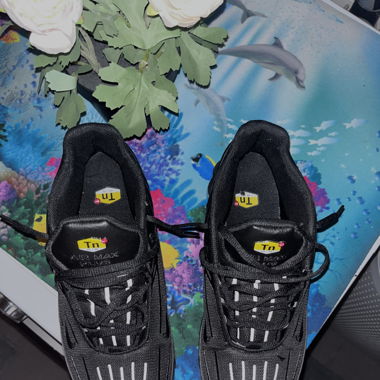 TN triple Black 