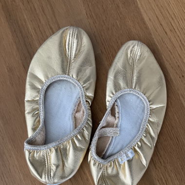 Dancing slippers
