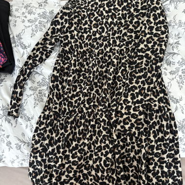 Leopard Print Dress