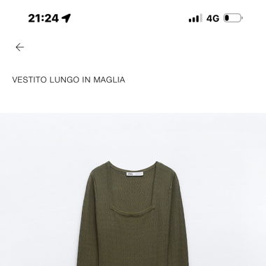 Zara dress