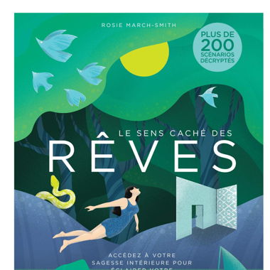 Livre : le sens caché des rêves 