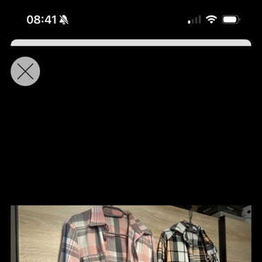 Camicie