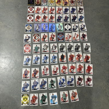 Panini cards