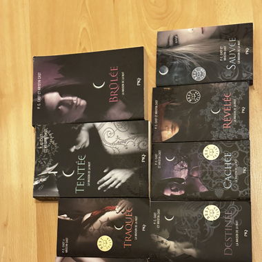 La maison de la nuit Tome 5-12