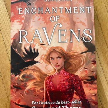 Livre Enchantment of ravens vol.2