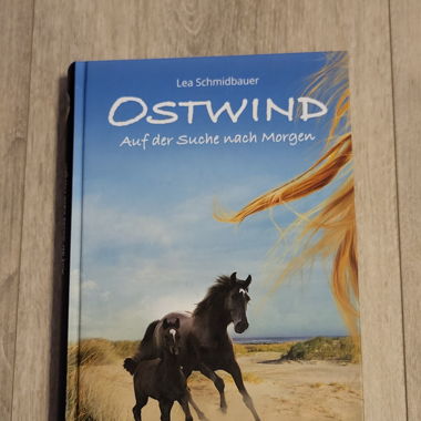 Ostwind Buch