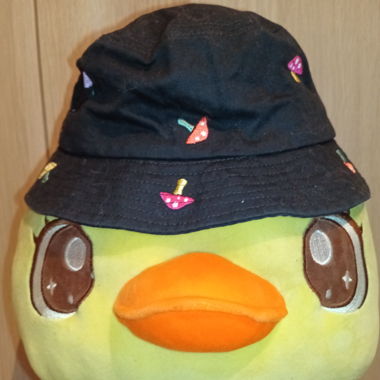 Mushroom bucket Hat