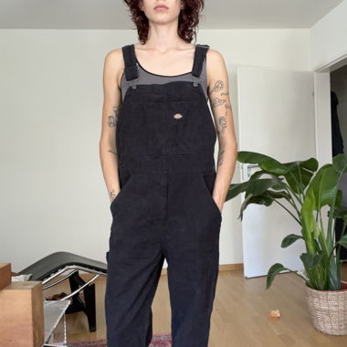 dickies overall